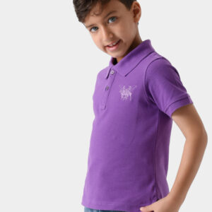 Crimson Basic Polo Shirt For Boys, Regular Fit