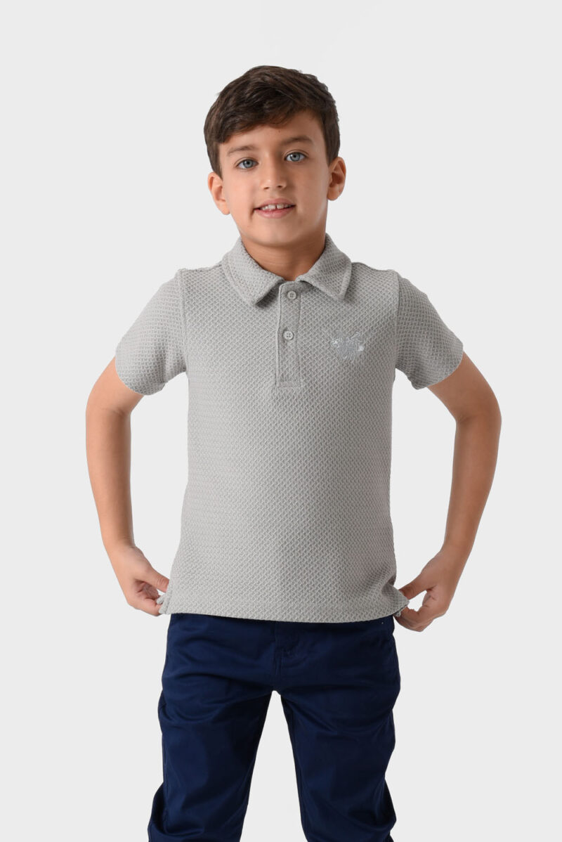 RWB-1S25-E308-2-2 Grey Polo Shirt For Boys, Regular Fit