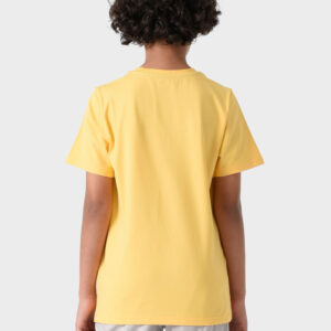 Yellow Basic Crew Neck T-Shirt For Boys, Regular Fit