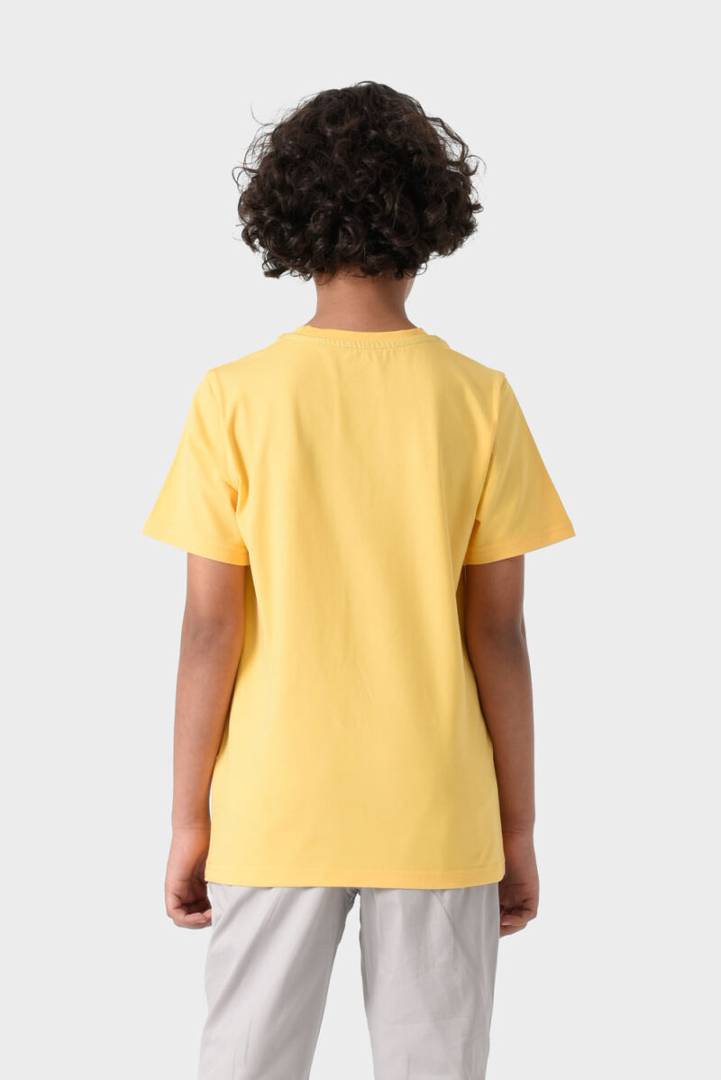 Yellow Basic Crew Neck T-Shirt For Boys, Regular Fit