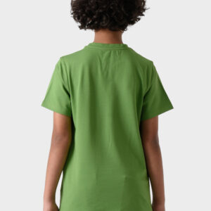 RWB-1S25-E311-6-4 Green Basic Crew Neck T-Shirt For Boys, Regular Fit