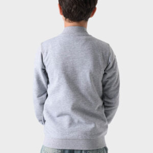 Grey Cotton Hoodie For Boys - Regular Fit