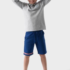 RWB-1W25-317A Grey Cotton Polo Shirt For Boys - Regular Fit