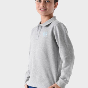 RWB-1W25-317C Grey Cotton Polo Shirt For Boys - Regular Fit