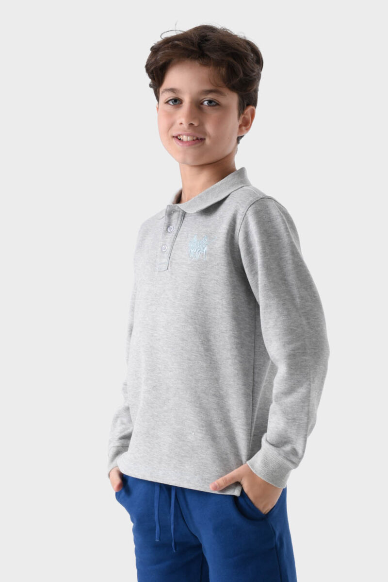 RWB-1W25-317C Grey Cotton Polo Shirt For Boys - Regular Fit