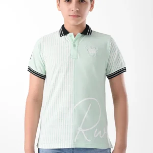 RWB-2S24-010-1-y12 (2) Green Polo Shirt For Boys, Regular Fit
