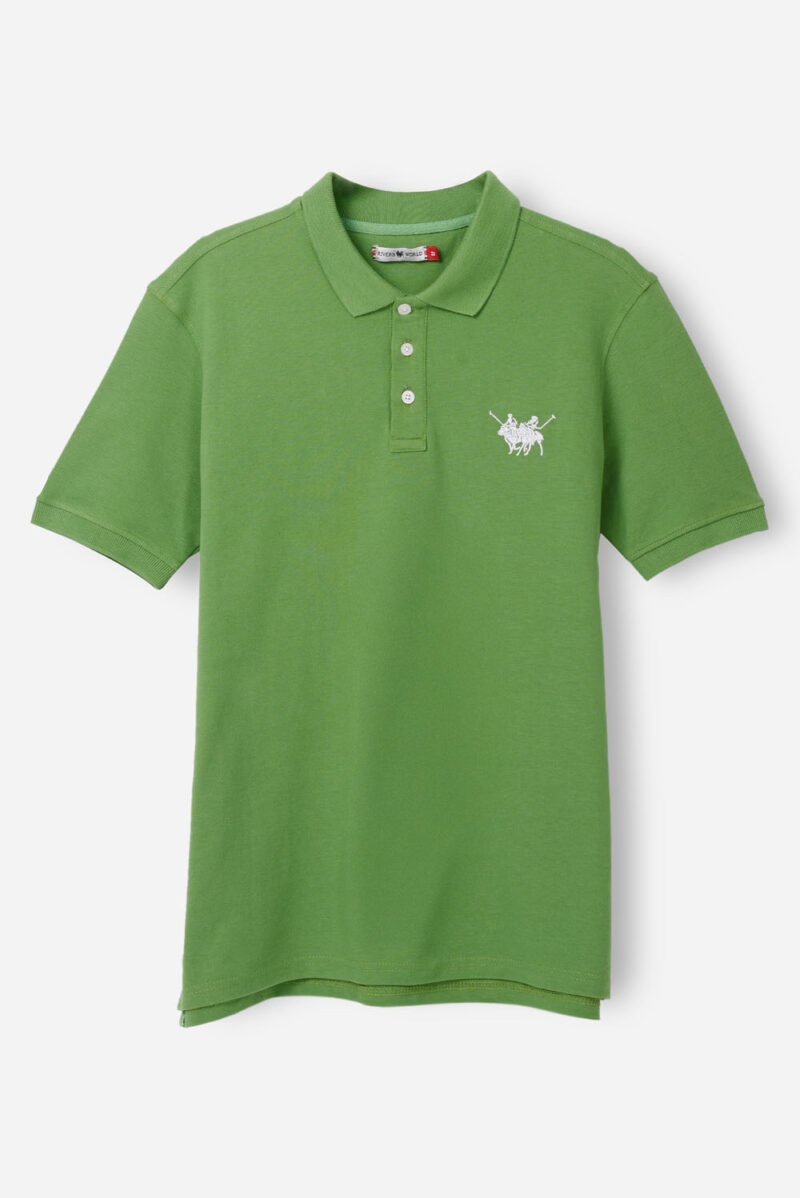 RWM-1S25-E101-5-6 Green Basic Polo Shirt For Men, Regular Fit