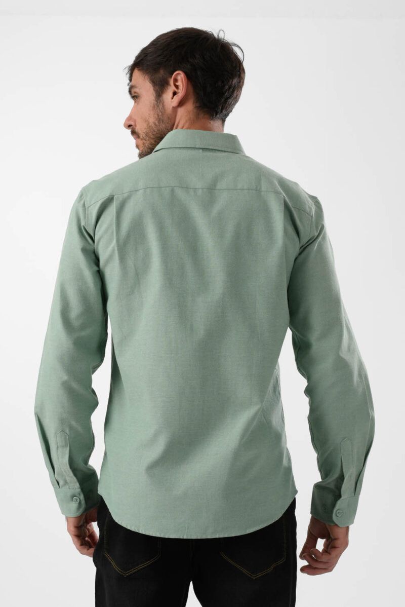 RWM-2S24-027-2 (2) Green Shirts For Men, Regular Fit
