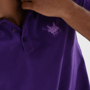 RWM-2S24-031-6 (1) Purple Polo Shirt for men, Regular Fit