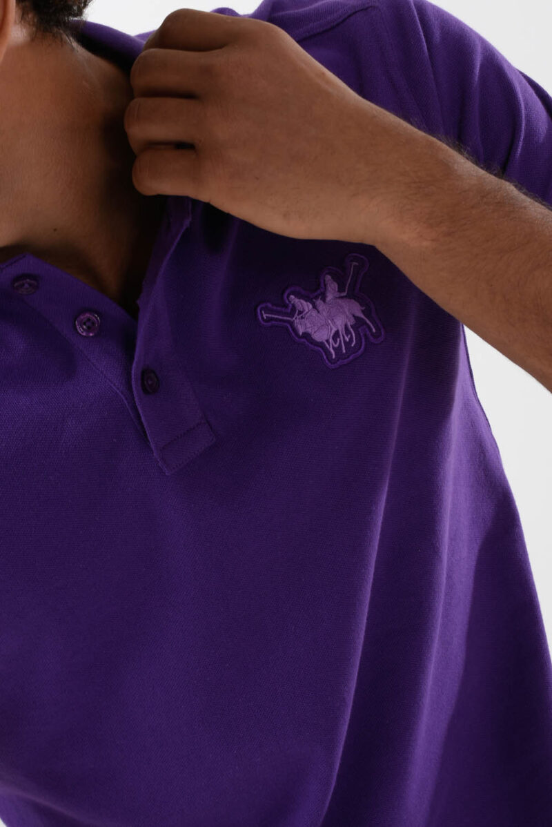 RWM-2S24-031-6 (1) Purple Polo Shirt for men, Regular Fit