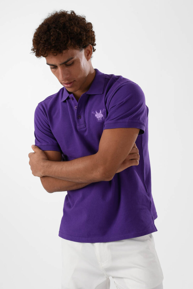 RWM-2S24-031-6 (2) Purple Polo Shirt for men, Regular Fit