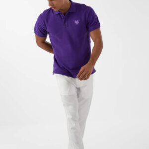 RWM-2S24-031-6 (3) Purple Polo Shirt for men, Regular Fit