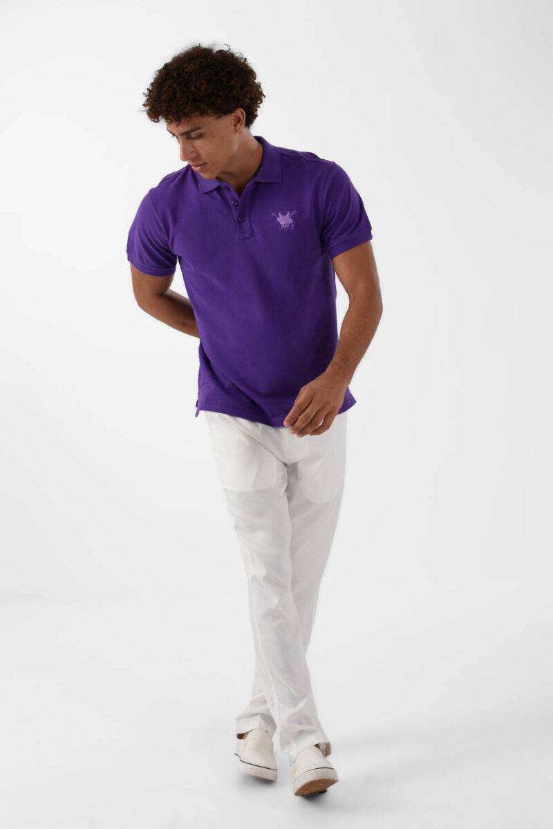 RWM-2S24-031-6 (3) Purple Polo Shirt for men, Regular Fit