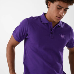 RWM-2S24-031-6 (4) Purple Polo Shirt for men, Regular Fit