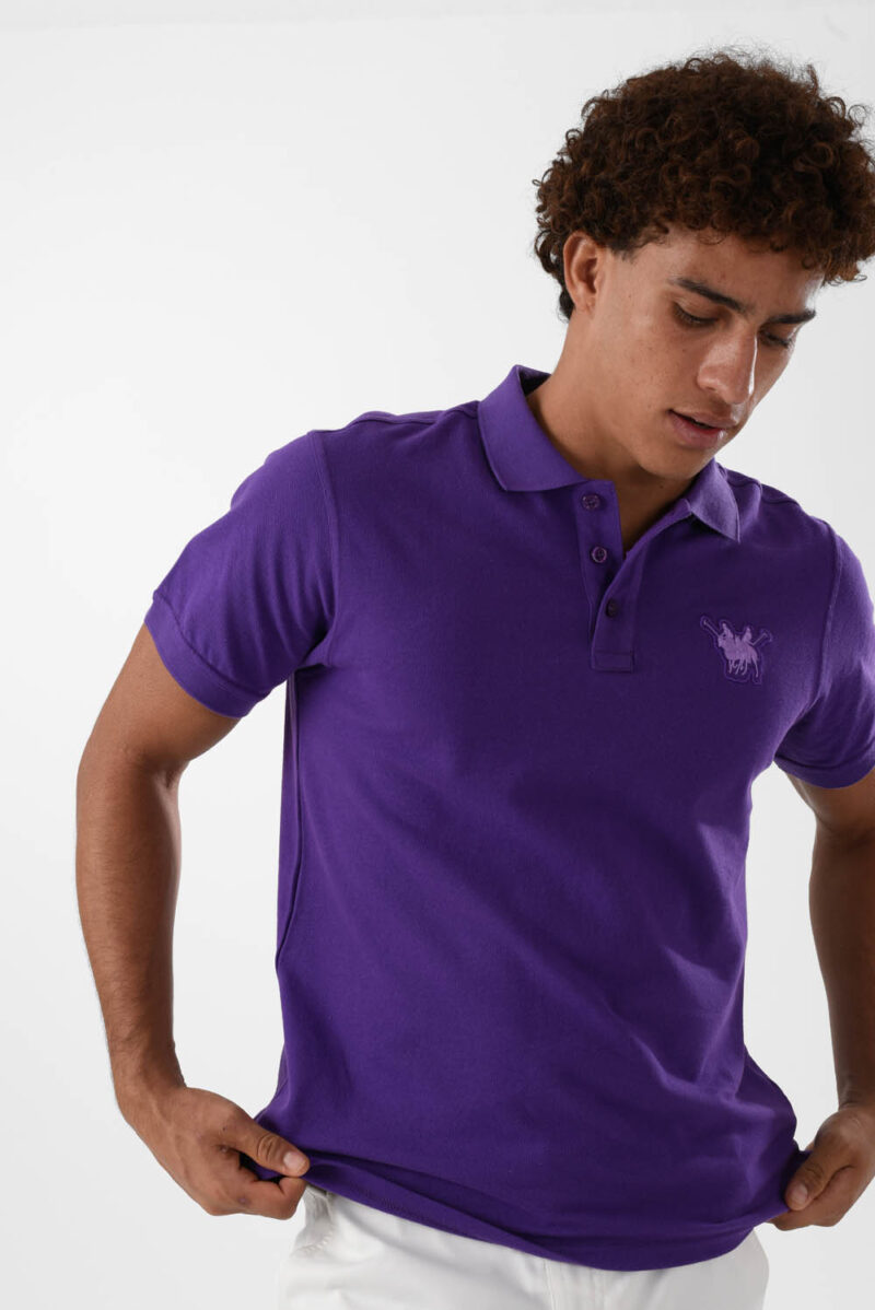 RWM-2S24-031-6 (4) Purple Polo Shirt for men, Regular Fit
