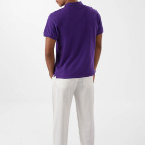 RWM-2S24-031-6 (5) Purple Polo Shirt for men, Regular Fit