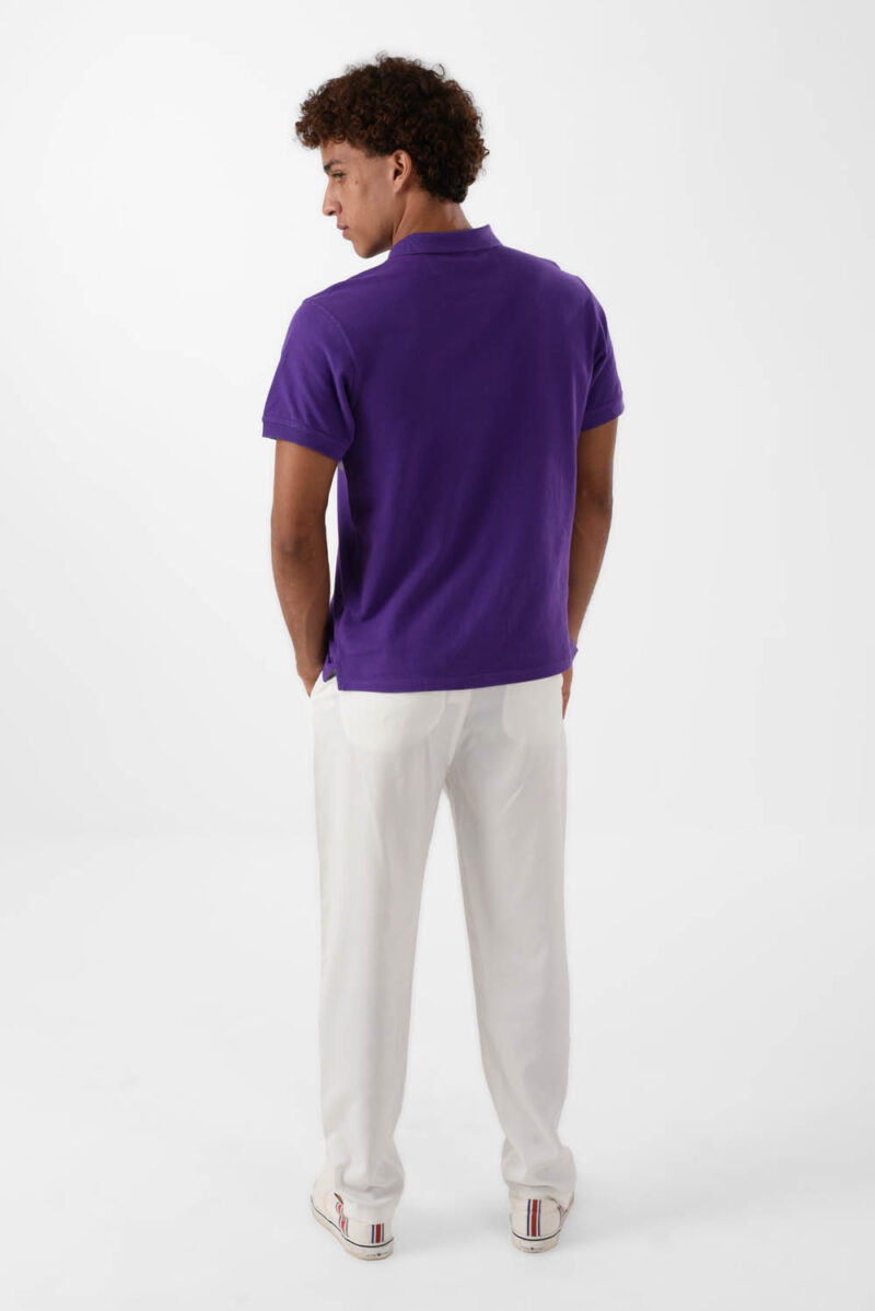 RWM-2S24-031-6 (5) Purple Polo Shirt for men, Regular Fit
